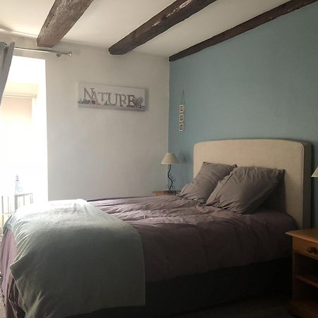 Sous Les Toits Du Zinc - Climatise Apartment Colmar Exterior foto