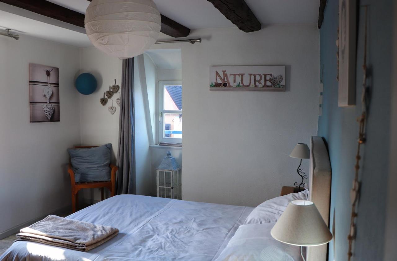 Sous Les Toits Du Zinc - Climatise Apartment Colmar Exterior foto