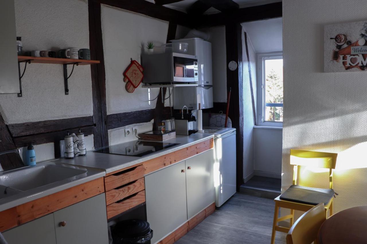 Sous Les Toits Du Zinc - Climatise Apartment Colmar Exterior foto