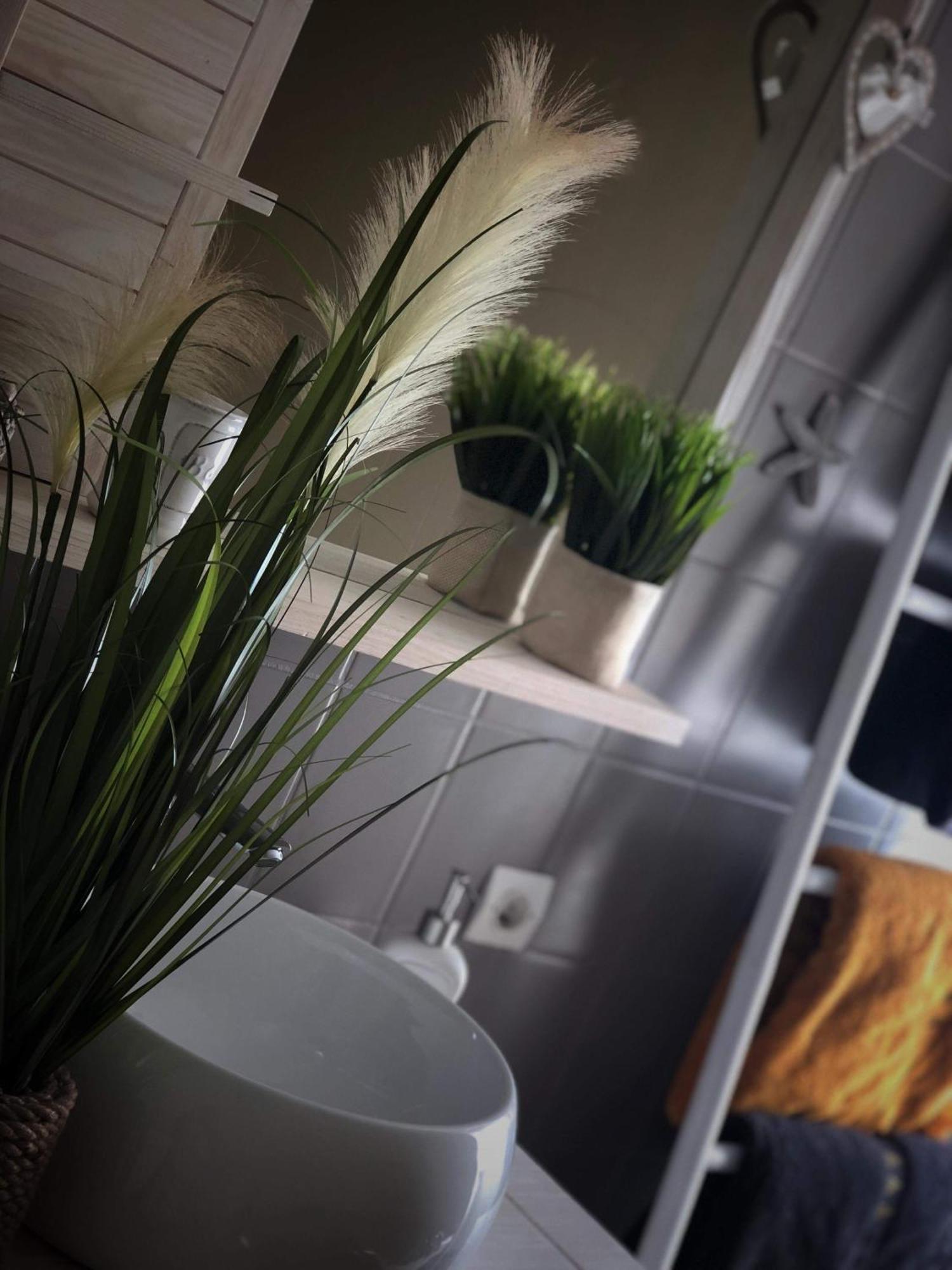 Sous Les Toits Du Zinc - Climatise Apartment Colmar Exterior foto