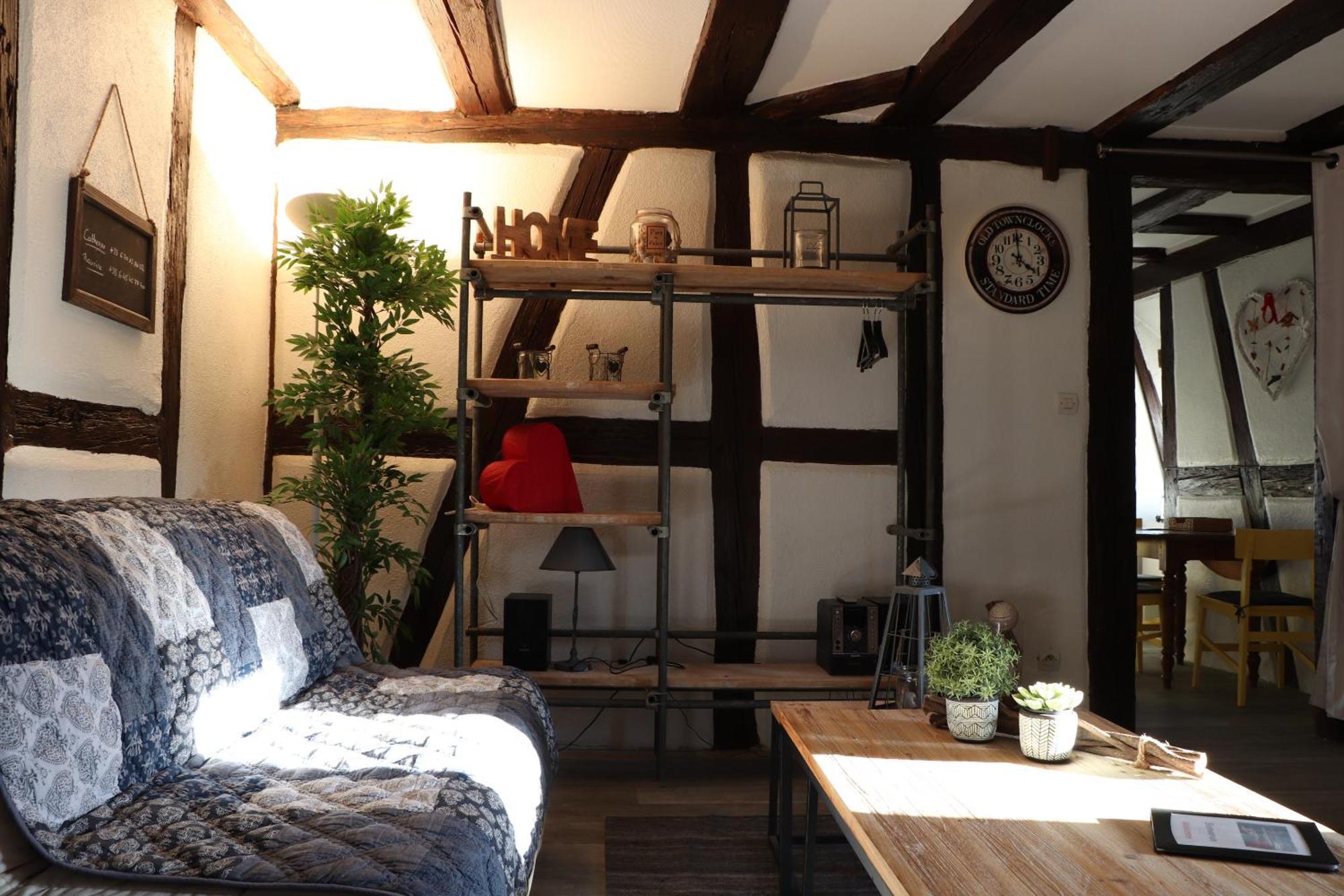 Sous Les Toits Du Zinc - Climatise Apartment Colmar Exterior foto