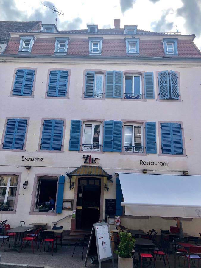 Sous Les Toits Du Zinc - Climatise Apartment Colmar Exterior foto